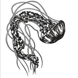 Meet your Posher, Miranda